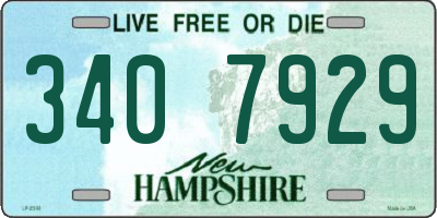 NH license plate 3407929