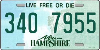 NH license plate 3407955