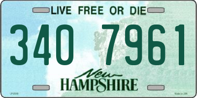 NH license plate 3407961