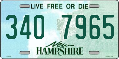 NH license plate 3407965