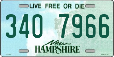 NH license plate 3407966