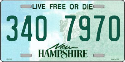 NH license plate 3407970