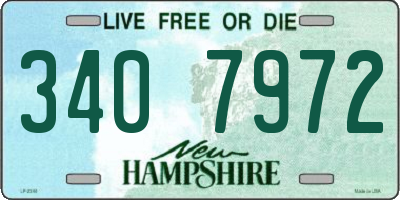 NH license plate 3407972