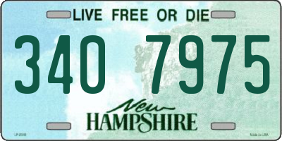 NH license plate 3407975