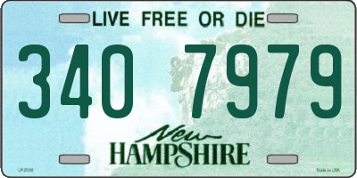 NH license plate 3407979