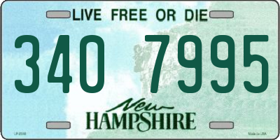 NH license plate 3407995