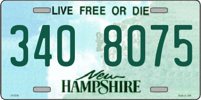 NH license plate 3408075