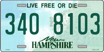 NH license plate 3408103