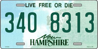 NH license plate 3408313