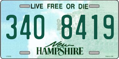 NH license plate 3408419