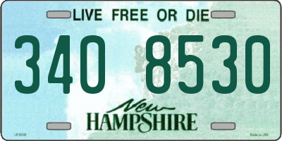NH license plate 3408530