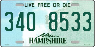 NH license plate 3408533