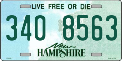 NH license plate 3408563