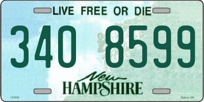 NH license plate 3408599