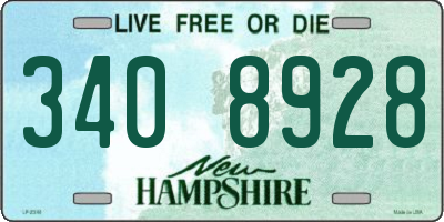 NH license plate 3408928