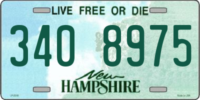 NH license plate 3408975