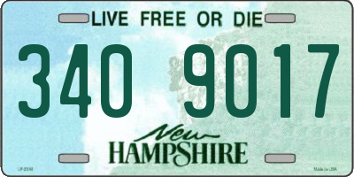 NH license plate 3409017