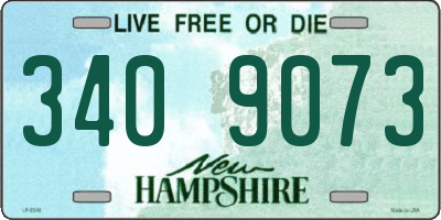 NH license plate 3409073
