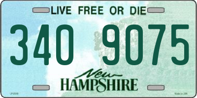 NH license plate 3409075