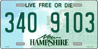 NH license plate 3409103