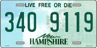 NH license plate 3409119