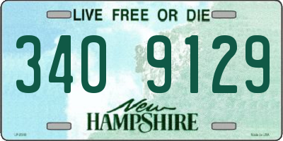 NH license plate 3409129