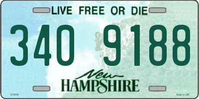 NH license plate 3409188