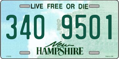 NH license plate 3409501