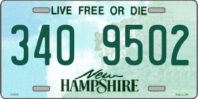 NH license plate 3409502