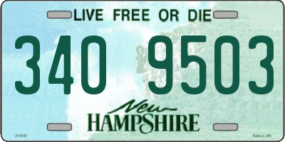 NH license plate 3409503