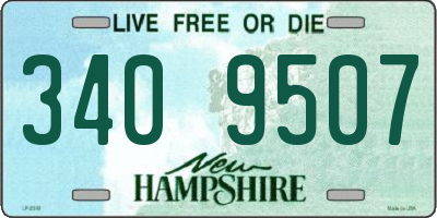 NH license plate 3409507