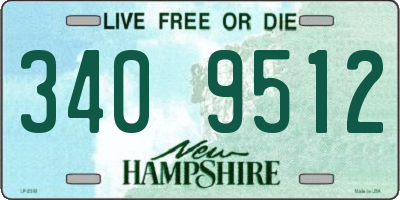 NH license plate 3409512
