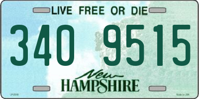 NH license plate 3409515