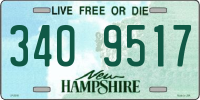 NH license plate 3409517