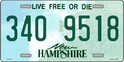 NH license plate 3409518
