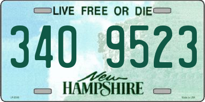 NH license plate 3409523
