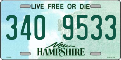 NH license plate 3409533