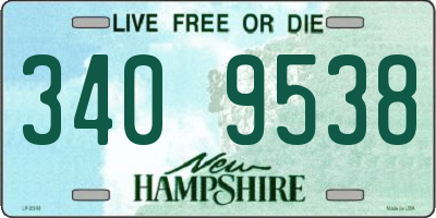 NH license plate 3409538