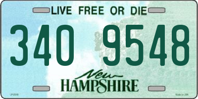 NH license plate 3409548