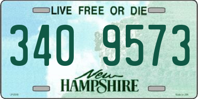 NH license plate 3409573