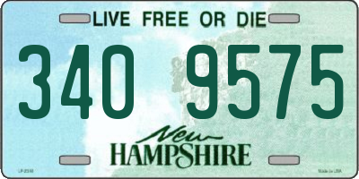 NH license plate 3409575