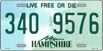 NH license plate 3409576
