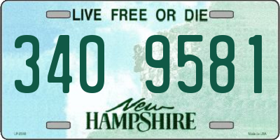 NH license plate 3409581