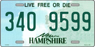 NH license plate 3409599