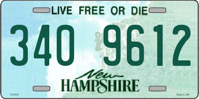 NH license plate 3409612