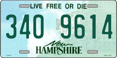 NH license plate 3409614