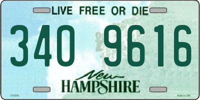NH license plate 3409616