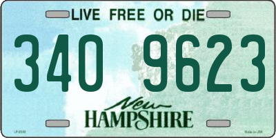 NH license plate 3409623