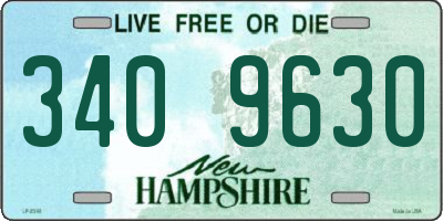 NH license plate 3409630