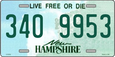 NH license plate 3409953